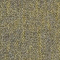 5T314_05225