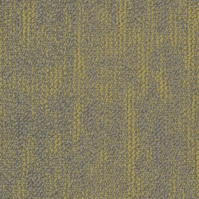 5T314_05225
