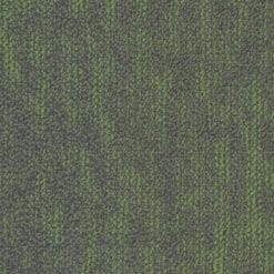 5T314_05326