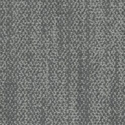 5T320_01535