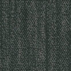 5T320_01580