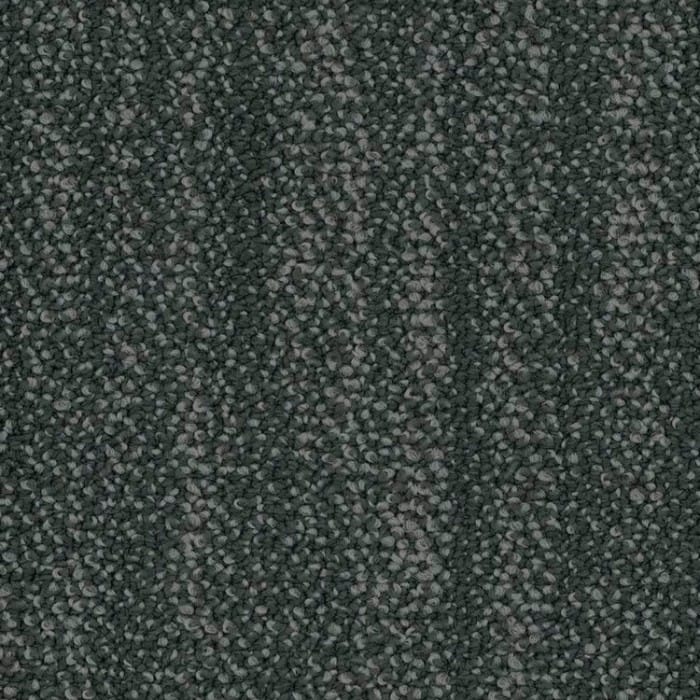 5T320_01580