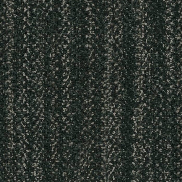 5T321_01500