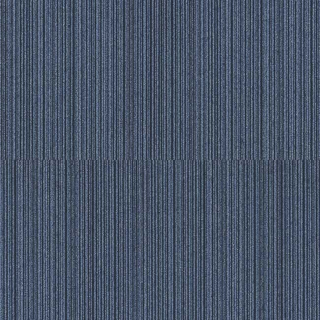 NT307V - NT305V (1)