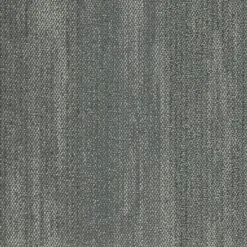 5T172_72481