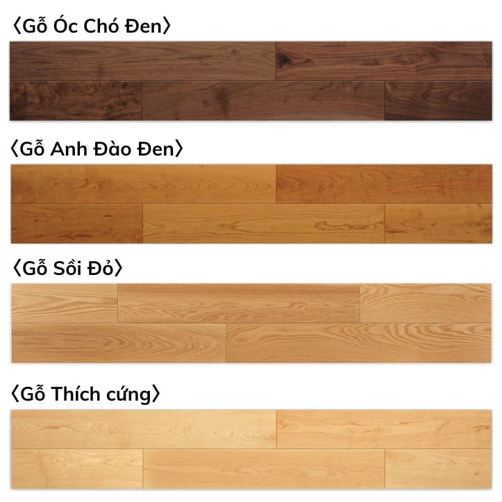 Danh sách các loại gỗ của sàn Sàn gỗ kỹ thuật tự nhiên kiểu 2P