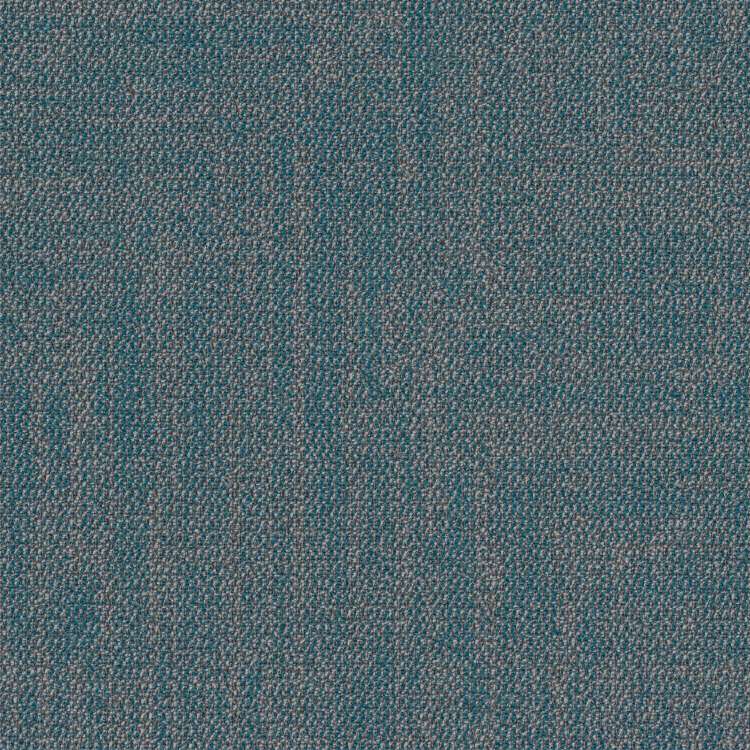 Thảm Shaw cho văn phòng 5T689_62323
