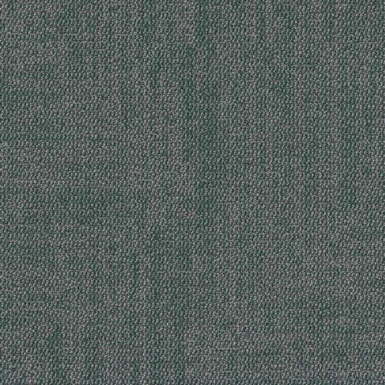 Thảm Shaw cho văn phòng 5T689_62396