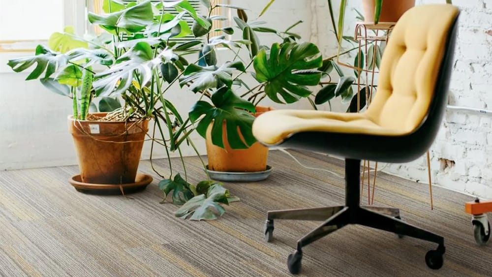 Cảm hứng hoa văn tuyến tính hữu cơ của bộ sưu tập thảm Vila Rica mã VR12 Serra