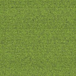 FL37Fylde
