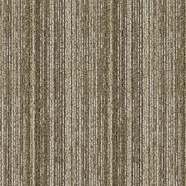 VR13-Pavia v1