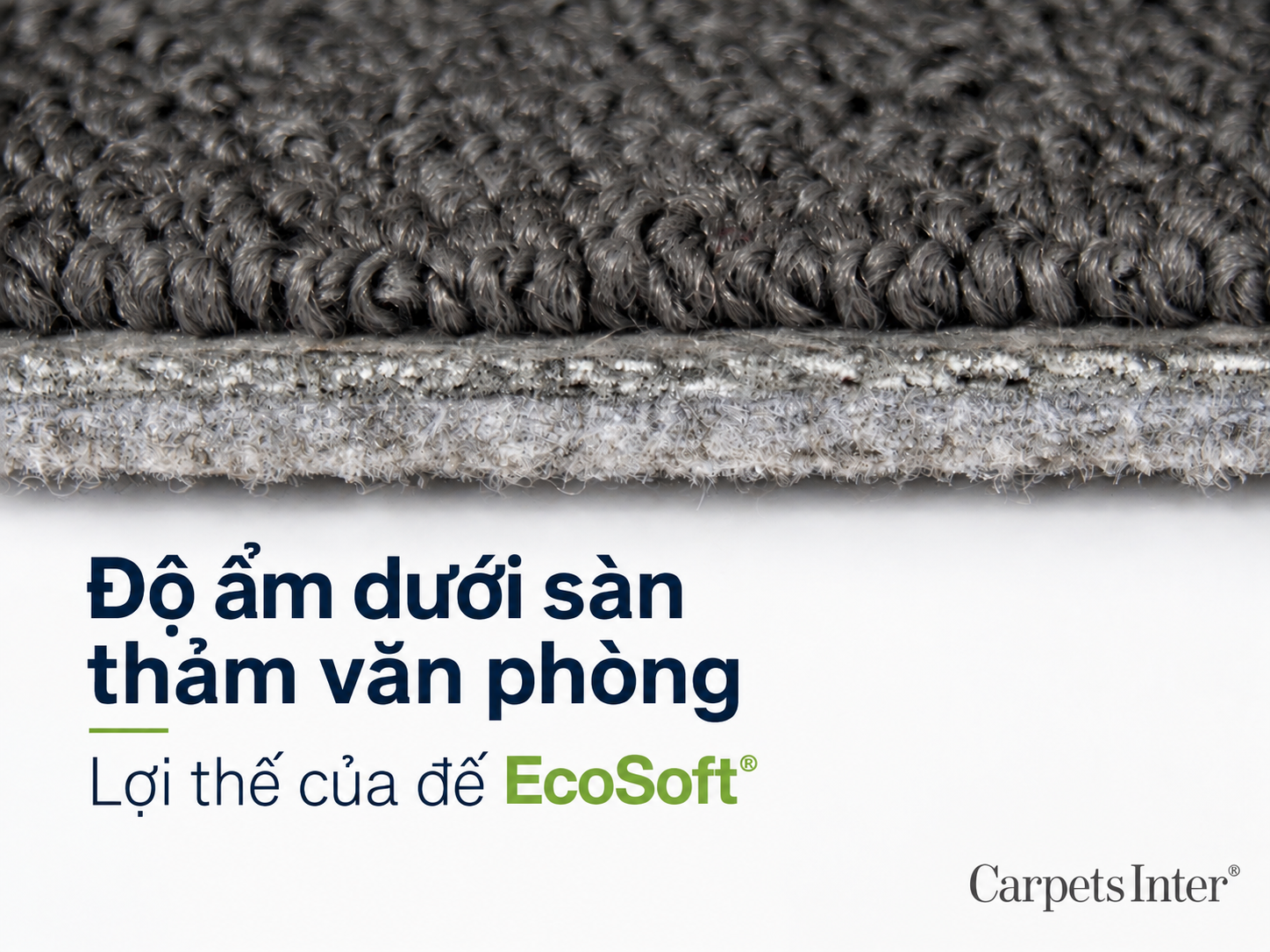 Độ ẩm dưới sàn thảm văn phòng