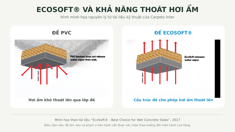 Sơ đồ minh họa sự truyền hơi nước qua hai cấu trúc đế.